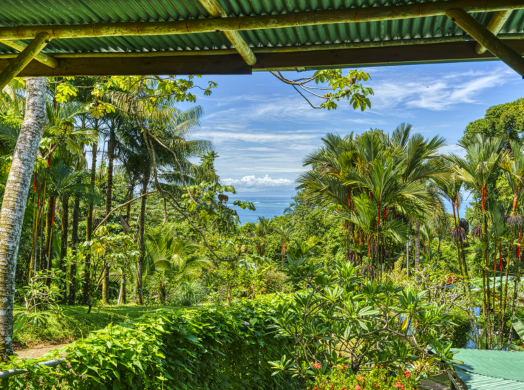 liquid-magic-surf-resort-uvita-costa-rica