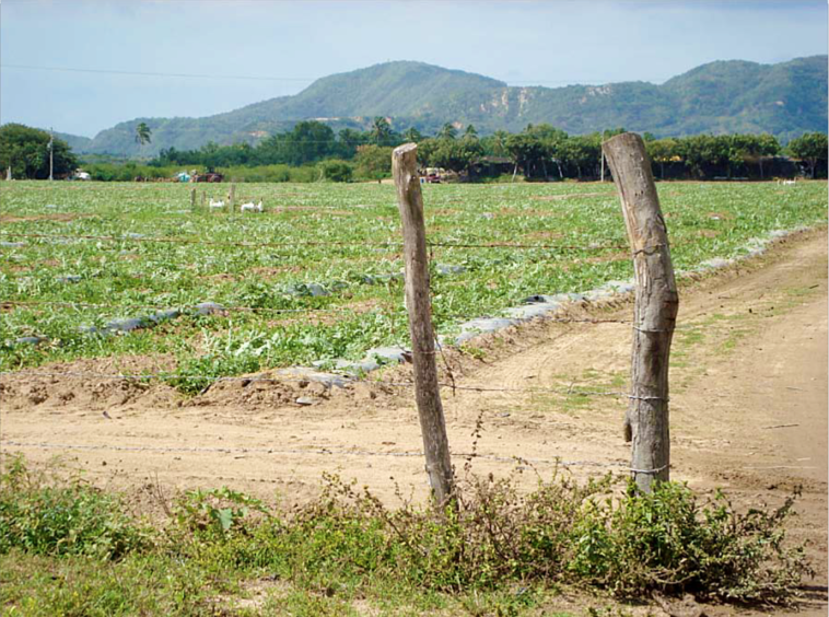 rancho-barra-de-navidad