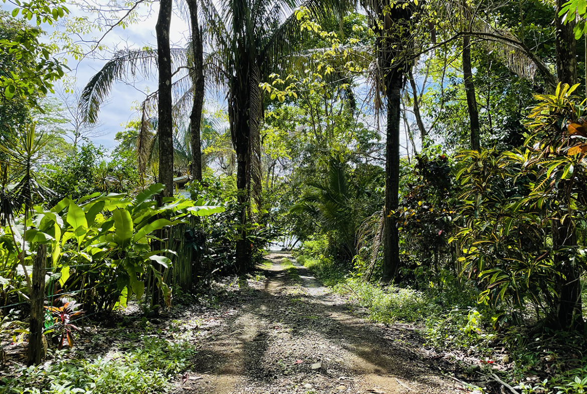 casa-evergreen-pavones-costa-rica