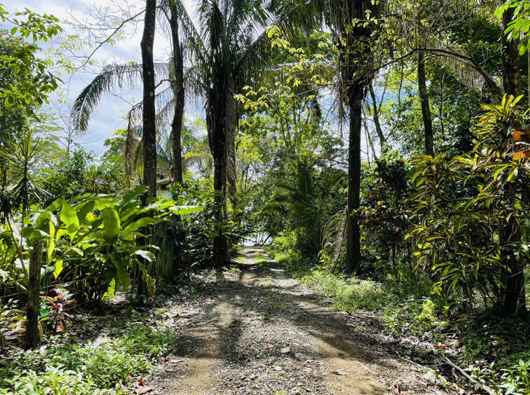 casa-evergreen-pavones-costa-rica