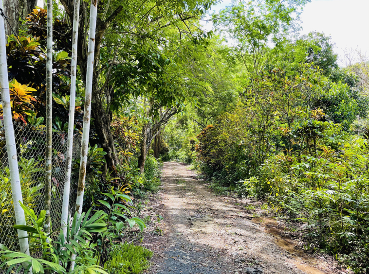 casa-evergreen-pavones-costa-rica