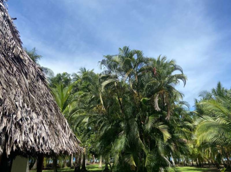 cozy-cottage-playa-zancudo