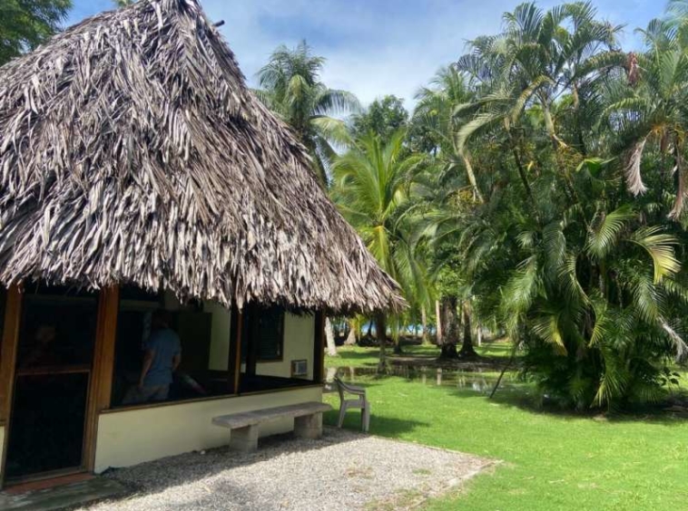 cozy-cottage-playa-zancudo