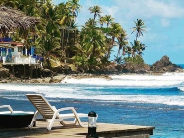 surf-dive-fish-caribbean-island-resort