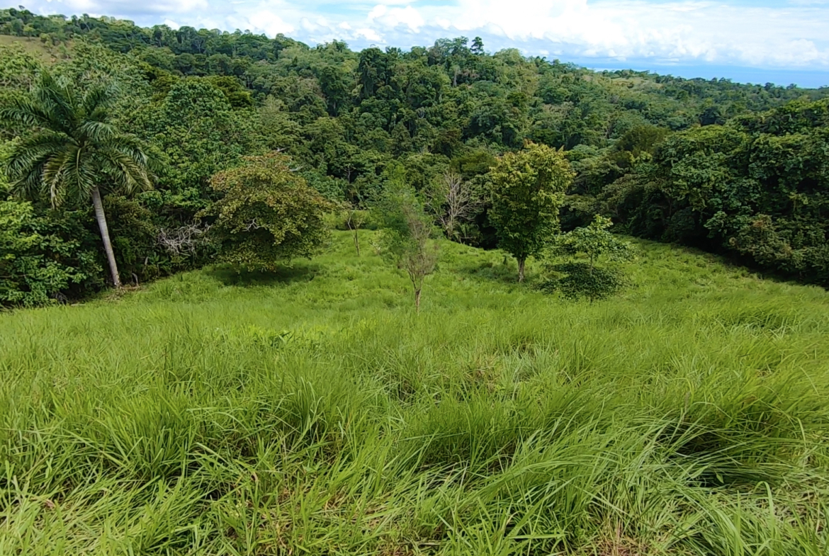 vista-dulce-finca-norte-20-acres-pavones-cuervito