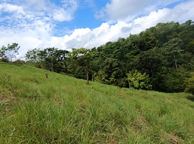 vista-dulce-finca-norte-pavones