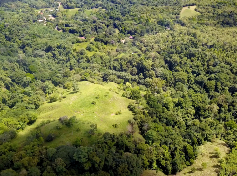 vista-dulce-cuervito-pavones-20-acre-finca-dji-lot
