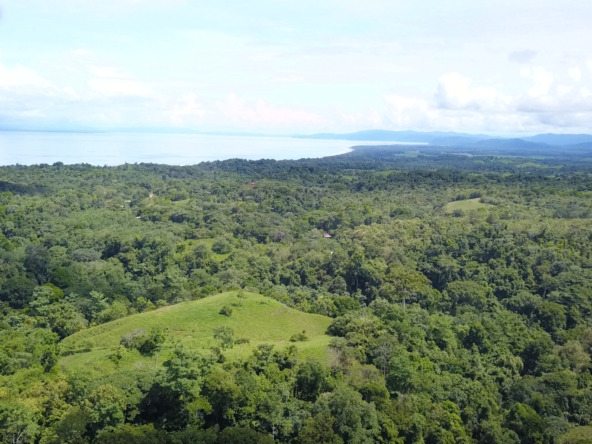 vista-dulce-finca-norte-20-acres-pavones-cuervito
