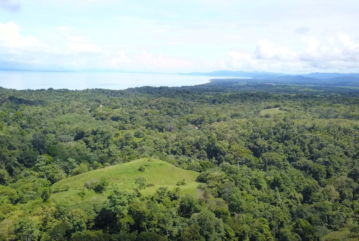 vista-dulce-finca-norte-20-acres-pavones-cuervito