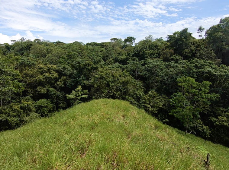 vista-dulce-cuervito-pavones-20-acre-finca