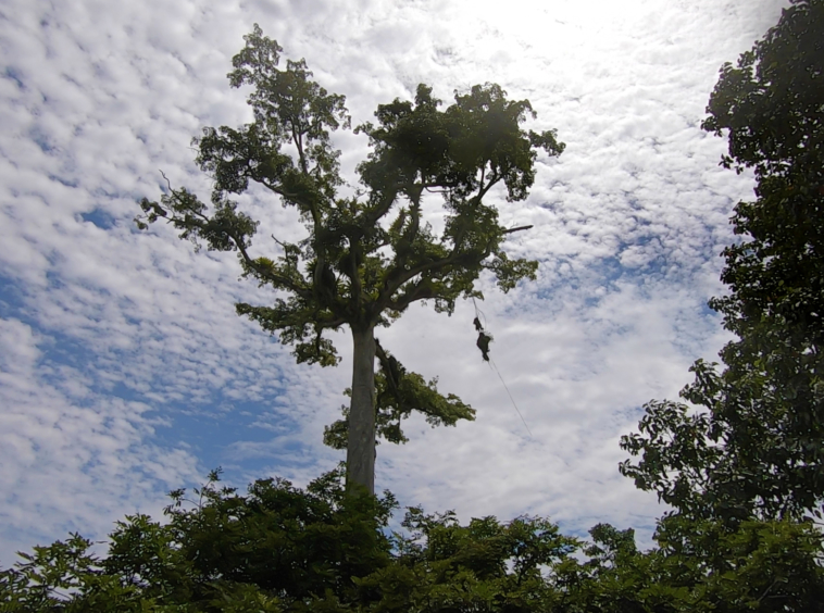 vista-dulce-cuervito-pavones-20-acre-finca