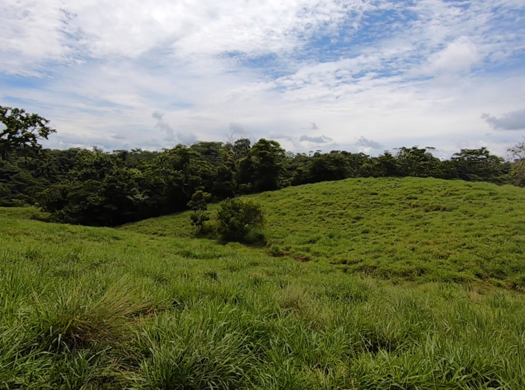 vista-dulce-cuervito-pavones-20-acre-finca