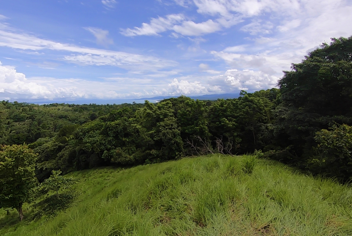 vista-dulce-cuervito-pavones-20-acre-finca