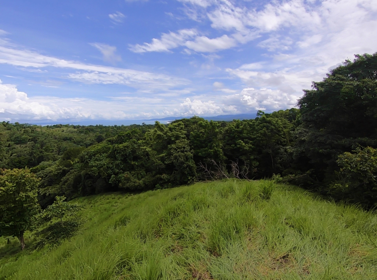 vista-dulce-cuervito-pavones-20-acre-finca