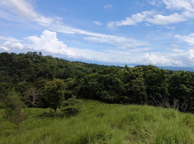 vista-dulce-cuervito-pavones-20-acre-finca