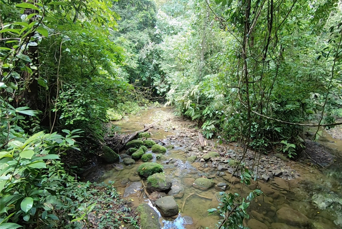 vista-dulce-finca-pavones-cuervito-river