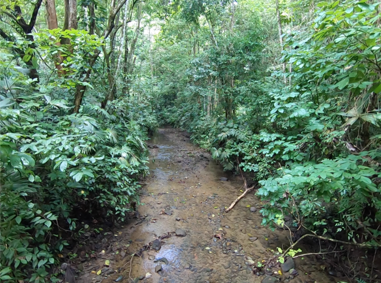 vista-dulce-finca-pavones-cuervito-river