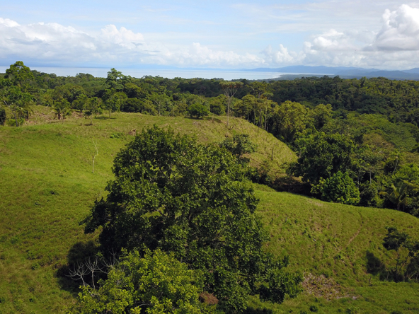 vista-dulce-finca-sur-35-acres-pavones-cuervito