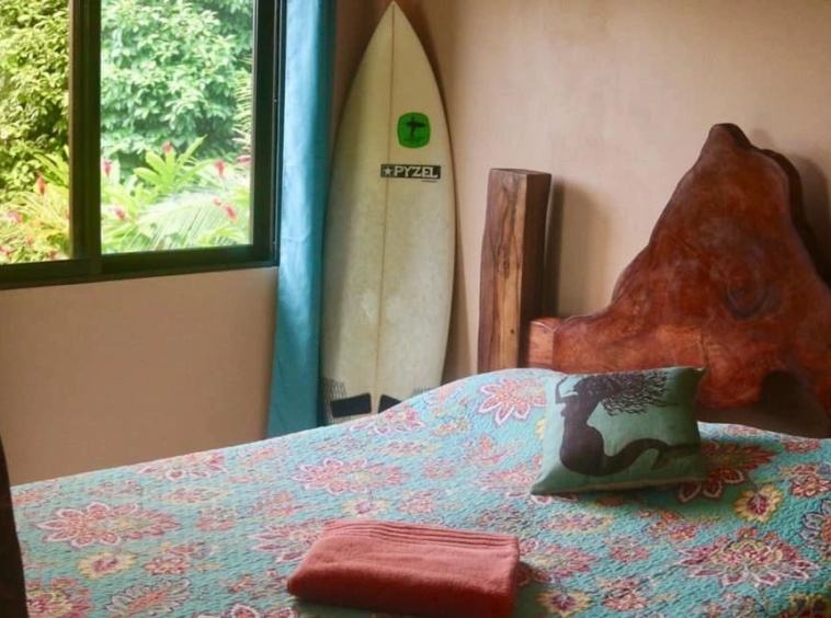 coconut-shakk-pavones-costa-rica
