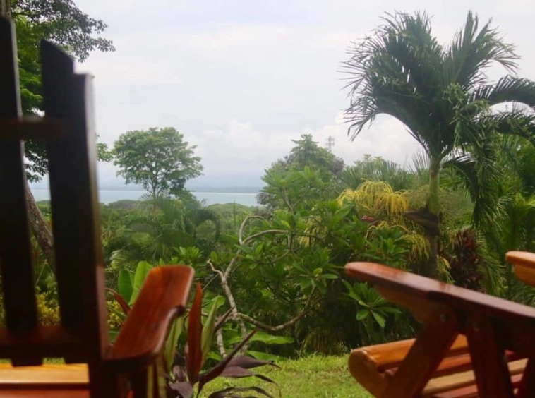 coconut-shakk-pavones-costa-rica