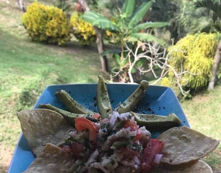 coconut-shakk-pavones-costa-rica