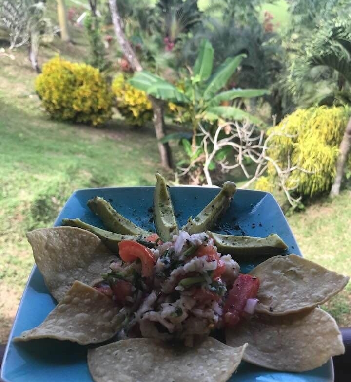 coconut-shakk-pavones-costa-rica