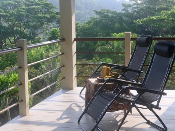 coconut-shakk-pavones-costa-rica