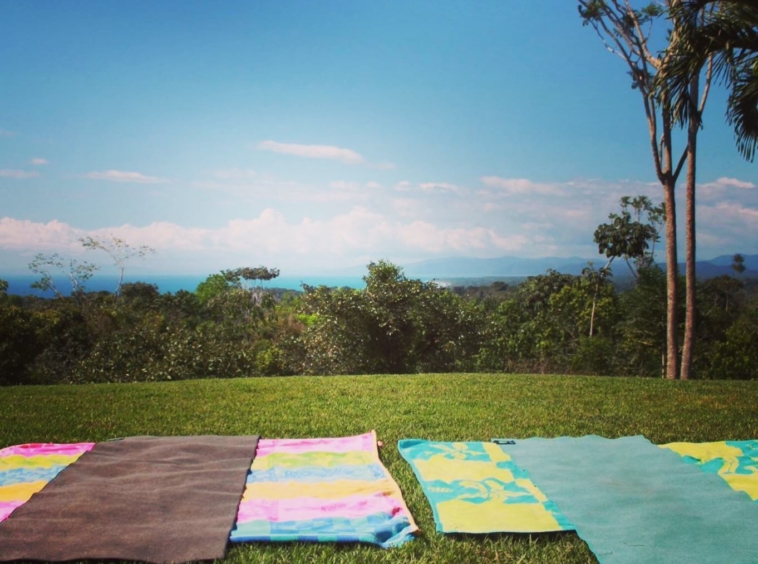 coconut-shakk-pavones-costa-rica