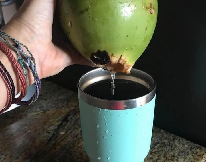 coconut-shakk-pavones-costa-rica