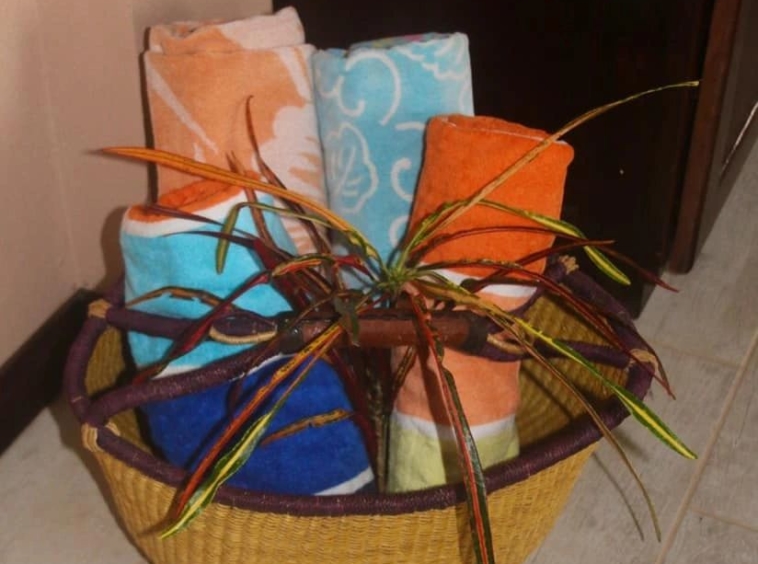 coconut-shakk-pavones-costa-rica