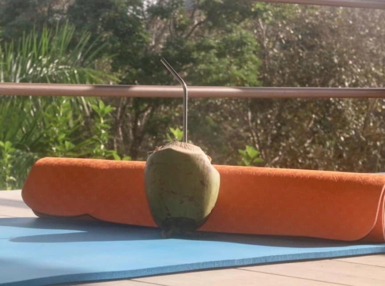 coconut-shakk-pavones-costa-rica