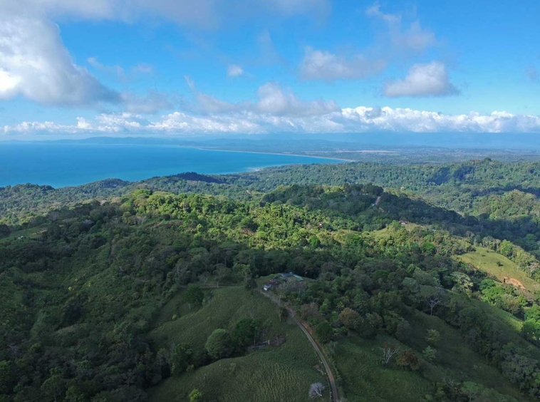 finca-vaca-gorda-pavones-land-for-sale
