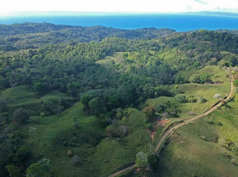 finca-vaca-gorda-pavones-land-for-sale