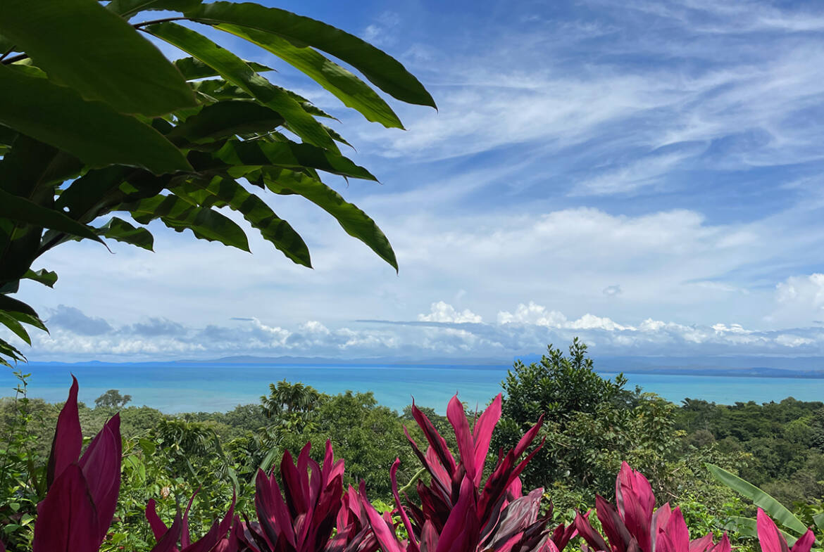 pavones-ocean-view-paradise