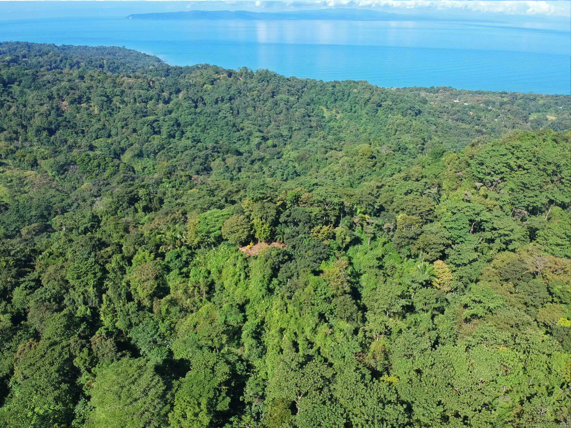 TREEHOUSE PILON PAVONES, Pavones – Preços atualizados 2023