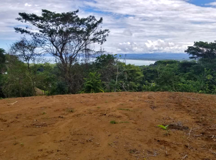 pilon-pavones-ocean-view-lot