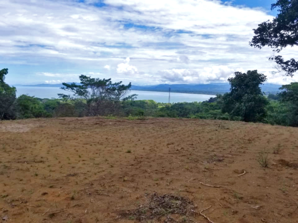 pilon-pavones-ocean-view-lot