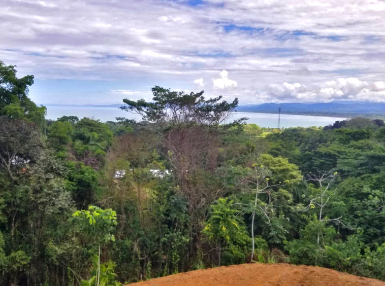 pilon-pavones-ocean-view-lot