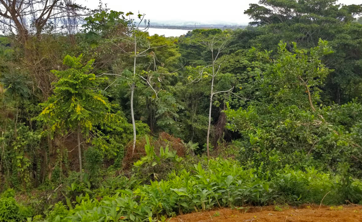 TREEHOUSE PILON PAVONES, Pavones – Preços atualizados 2023