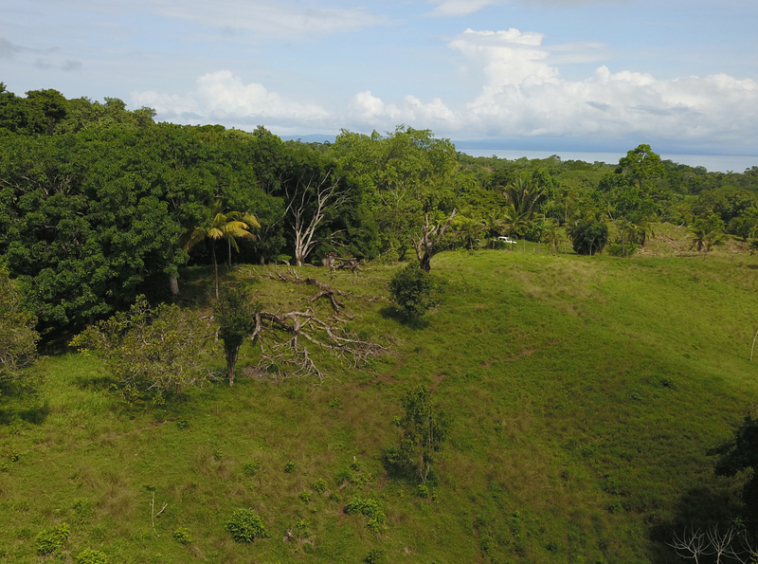 vista-dulce-finca-sur-pavones-cuervito-ocean-view