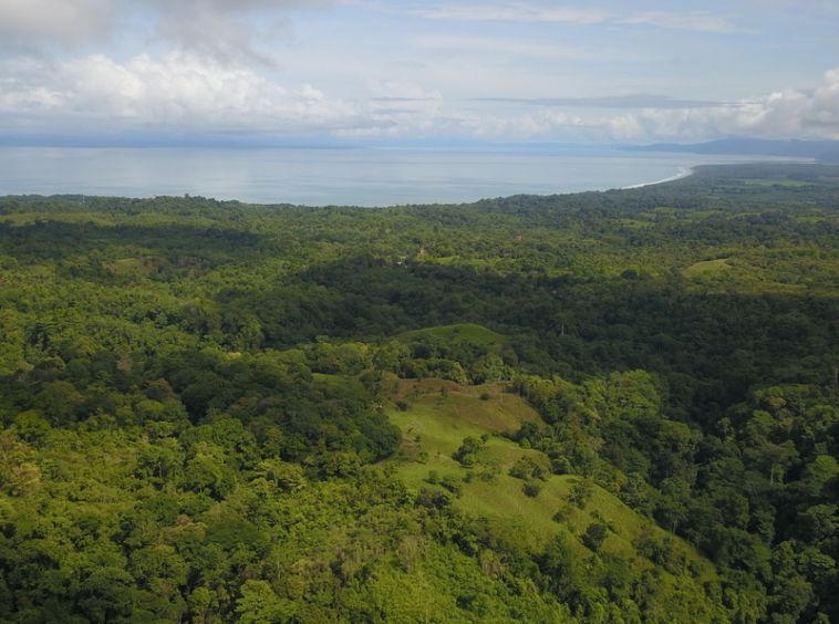 vista-dulce-finca-sur-pavones-cuervito-ocean-view