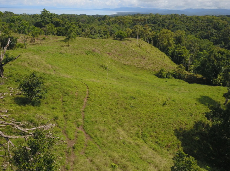 vista-dulce-finca-sur-pavones-cuervito-ocean-view