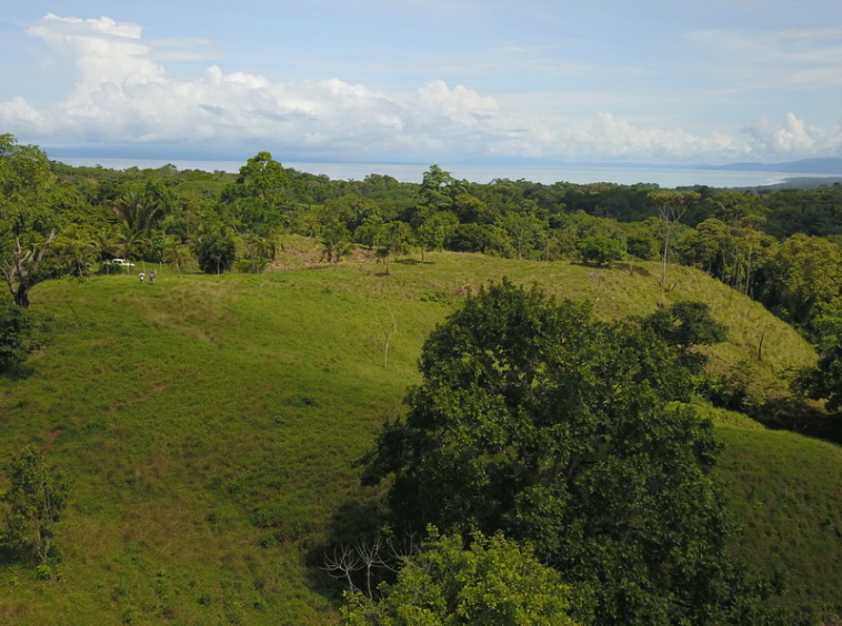 vista-dulce-finca-sur-pavones-cuervito-ocean-view