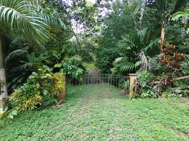 vista-dulce-finca-sur-pavones-cuervito-ocean-view
