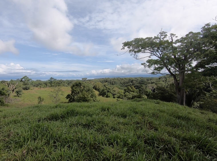 vista-dulce-finca-sur-pavones-cuervito-ocean-view