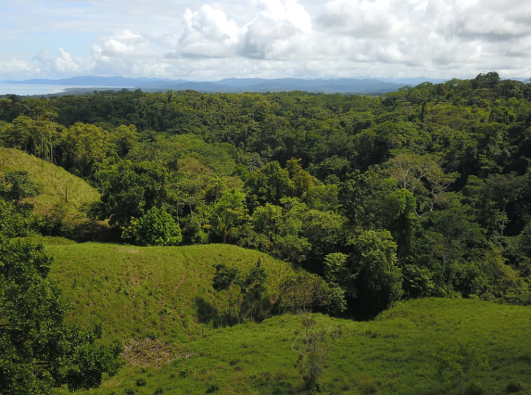 vista-dulce-finca-sur-pavones-cuervito-ocean-view