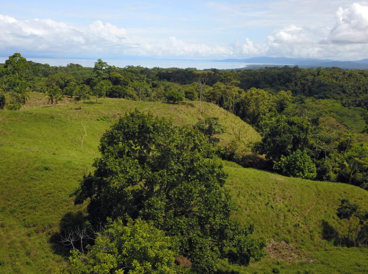 vista-dulce-finca-sur-pavones-cuervito-ocean-view