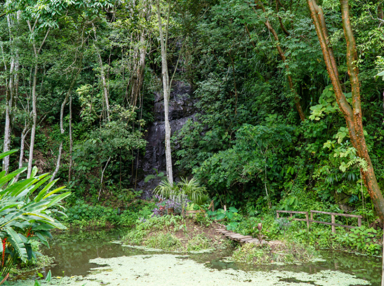 waterfall-property-costa-rica