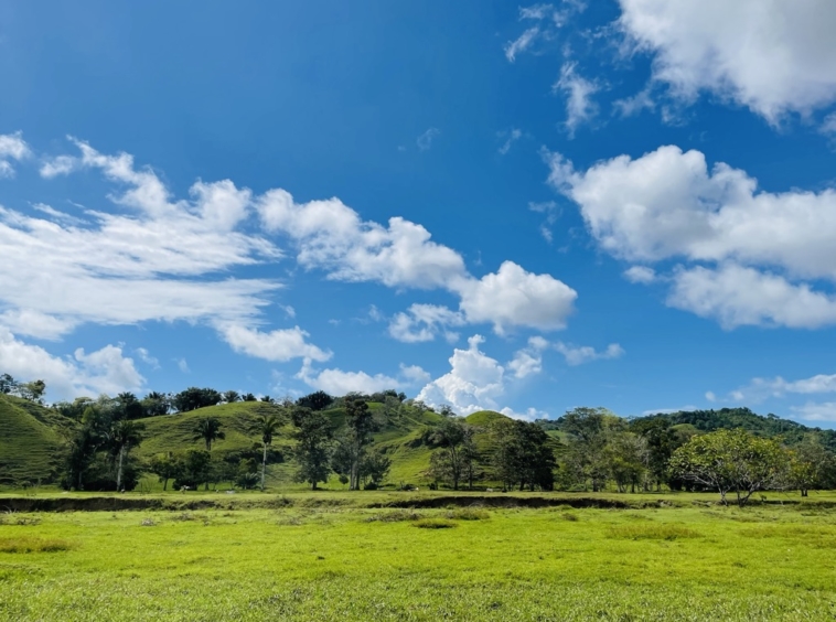 finca-rio-coto-5
