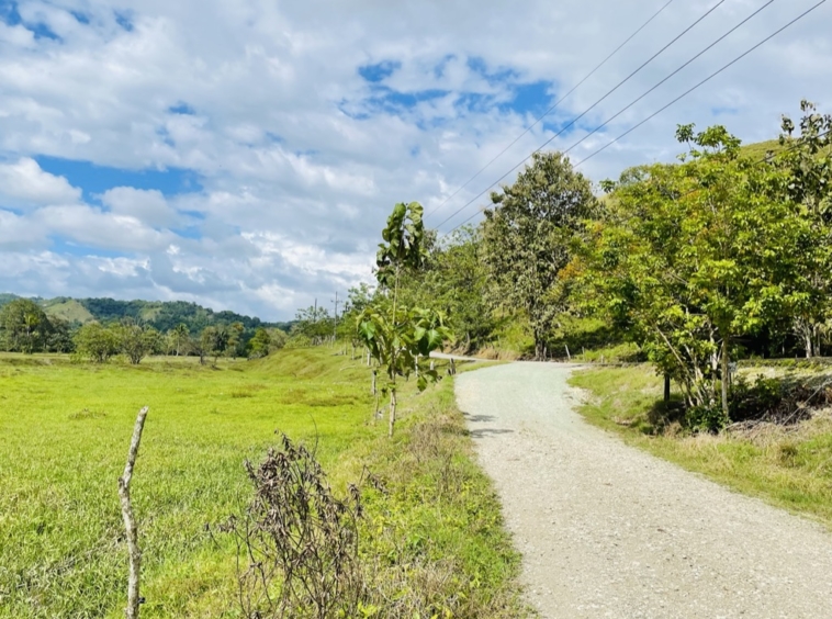 finca-rio-coto-4